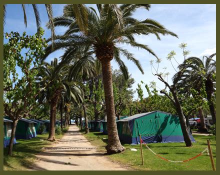 camping el ronquillo